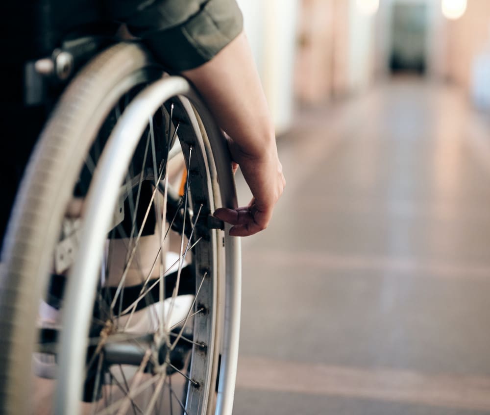 Paralysis Paralysis